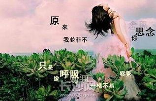 爱在心心念念时